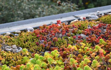 the cost of Aughamullan green roof installation